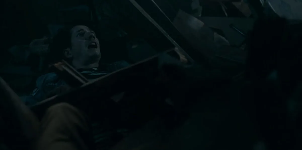 Фото галереи #4